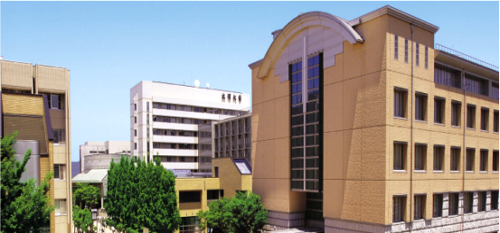 Study Abroad Programs for Undergraduate and Master's Degree