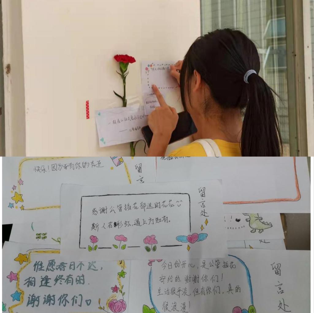 4986b16dfe3e3c27b0757e63e7f718d