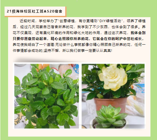 绿植感悟 绿植感悟