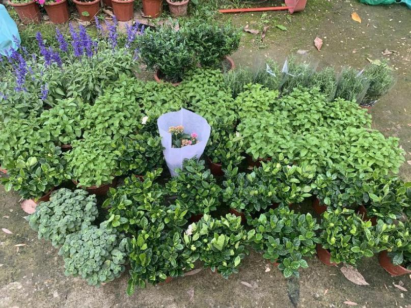 微信图片_20220510144608