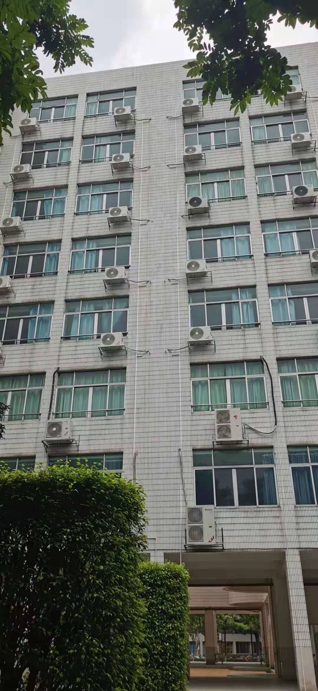 8F6F6
