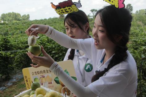 2c3f9b2a69533188a7db630e9757b2e